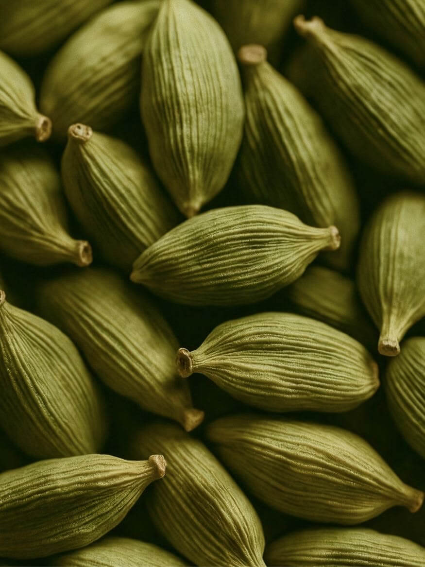 CARDAMOM