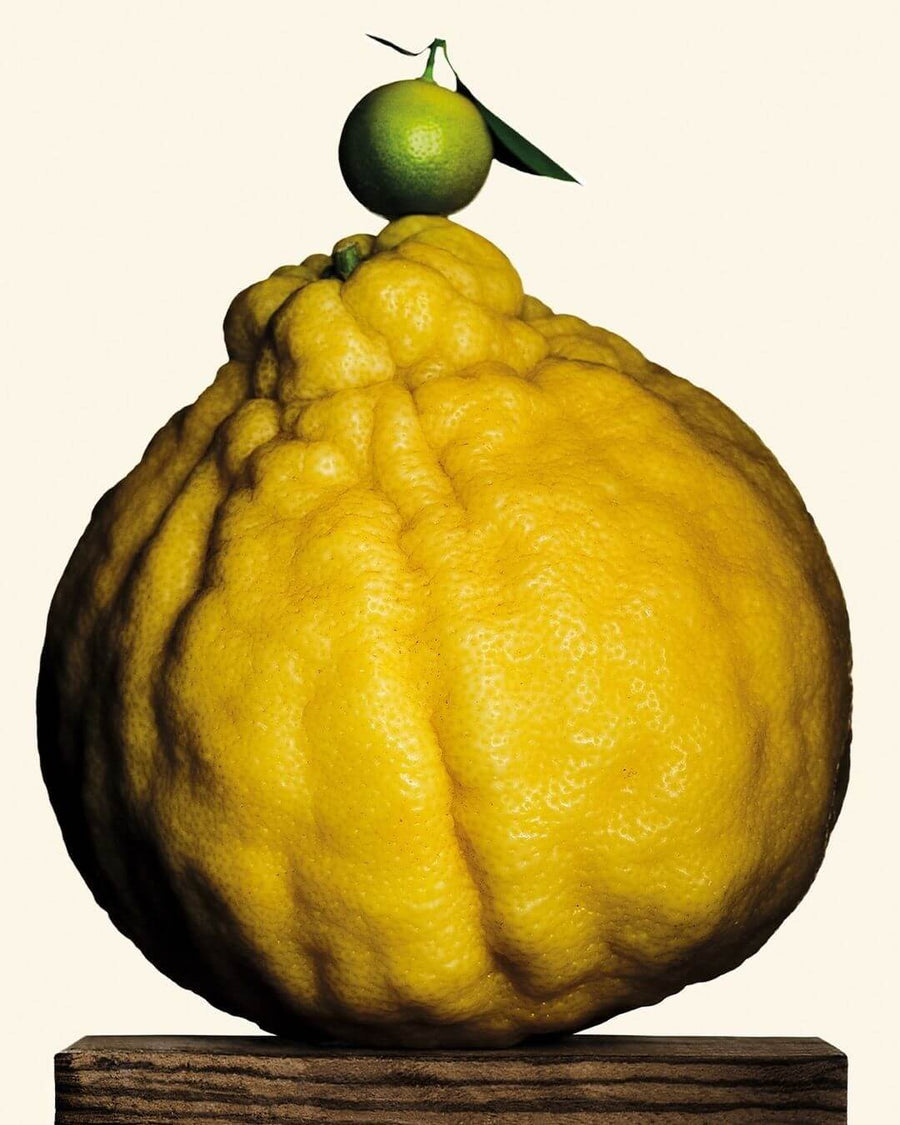 YUZU