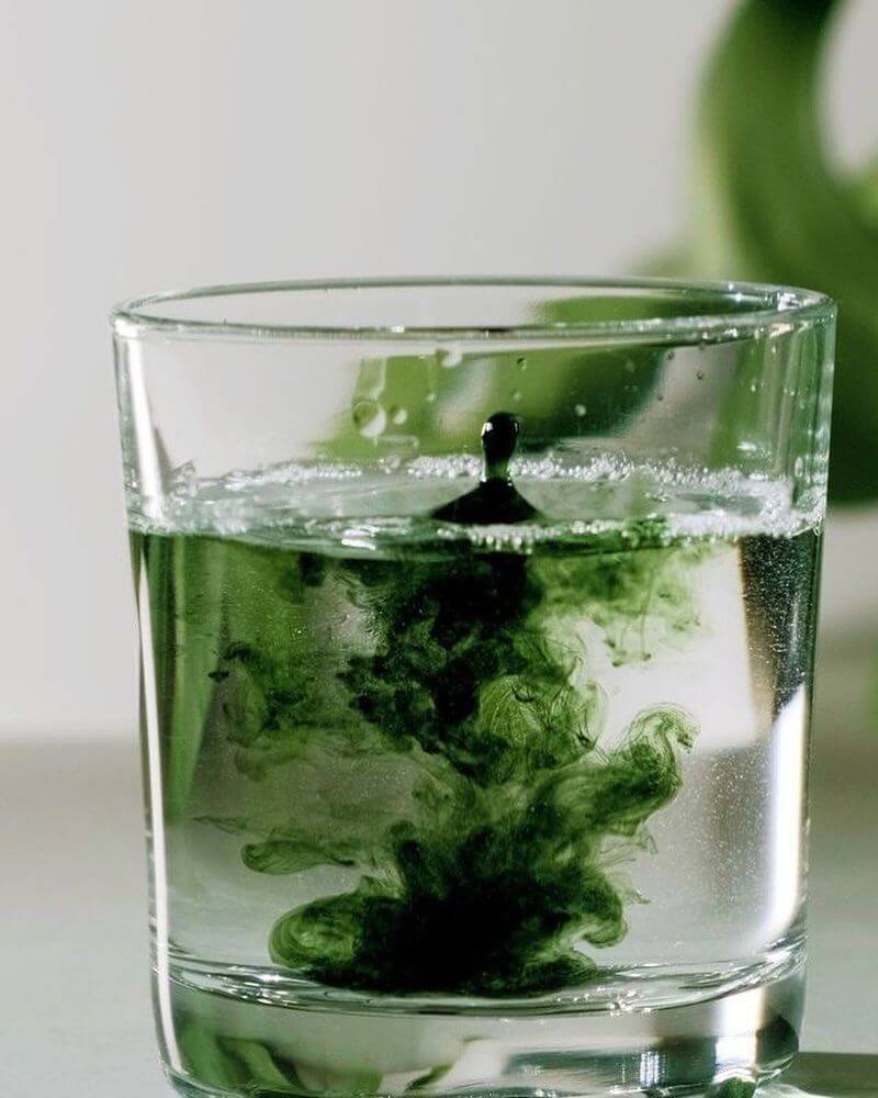 CHLOROPHYLL